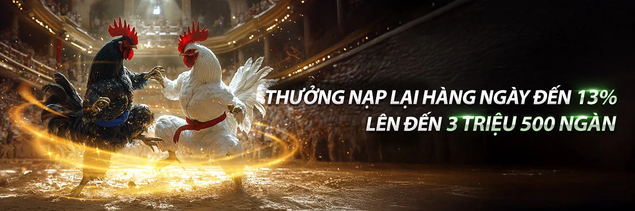 Đá Gà Trực Tiếp Bairdisd - Trải nghiệm cá cược đỉnh cao tại Win55